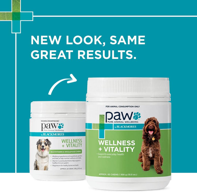 PAW by Blackmores Wellness and Vitality Multivitamins for Dogs |Maintains General Wellness & Vitality | 60 Chews