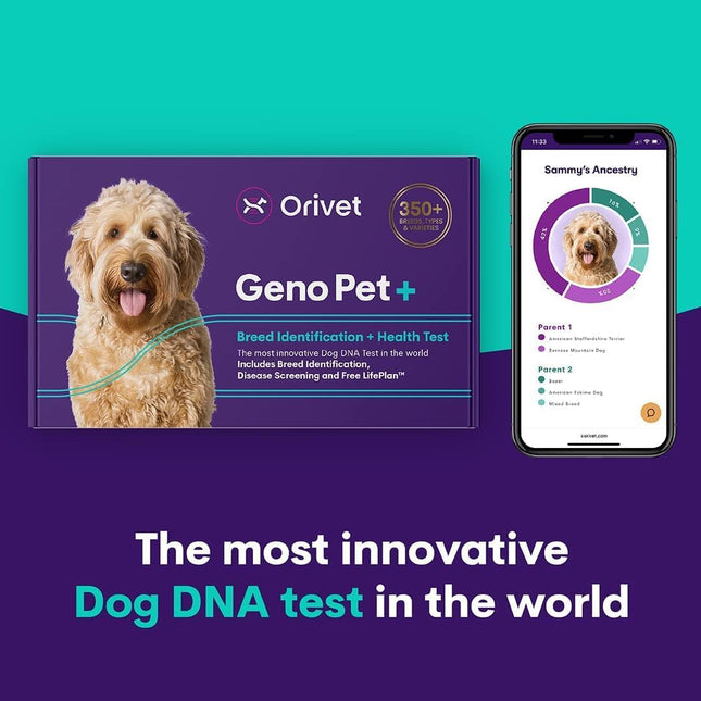 ORIVET GenoPet Plus Dog DNA Test Kit | 365+ Breed Identification & 330+ Genetic Health Conditions Included | Personalized Life Plan | At-Home Cheek Swab | Results in Approximately 3–5 Weeks