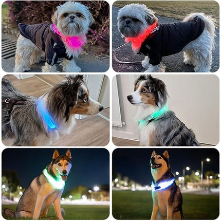 PAJ 4G Dog GPS Tracker & LED Collar Bundle, 3 Months Included - Real-Time Dog Tracking - Escape Alerts - Virtual Fence - Activity & Health Monitor - 7 Light Colors