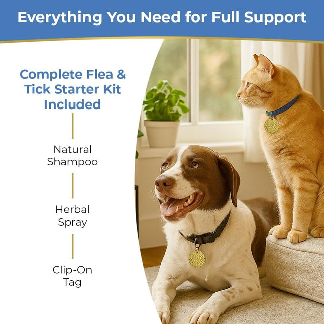 Flea & Tick Tag for Dogs & Cats | Chemical-Free | Waterproof | 12 Months