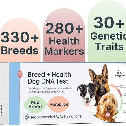 Basepaws Dog DNA Testing Kit - 330+ Breeds, 280+ Health Risks, and 30+ Traits - Comprehensive Mixed Breed Identification, Pet DNA Test kit, Canine Genetic Ancestry and Heritage