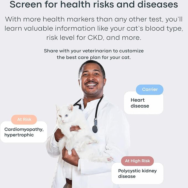 Basepaws Cat DNA Test Kit, Breed, Health & Dental Insights, 114 DNA Traits