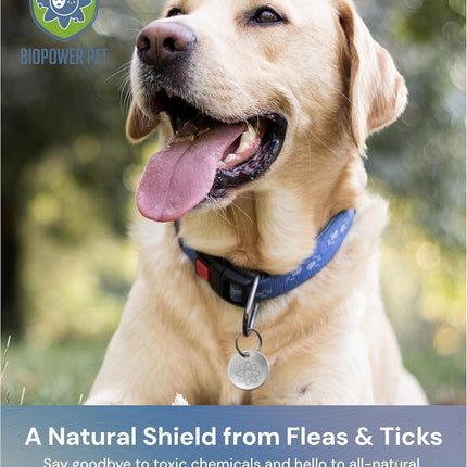 Shield Tag - Natural Flea & Tick Repellent Collar Tag for Dogs & Cats - Waterproof, Lasts 12 Months - Stainless Steel Pendant - Regular Tag (2 Pack)