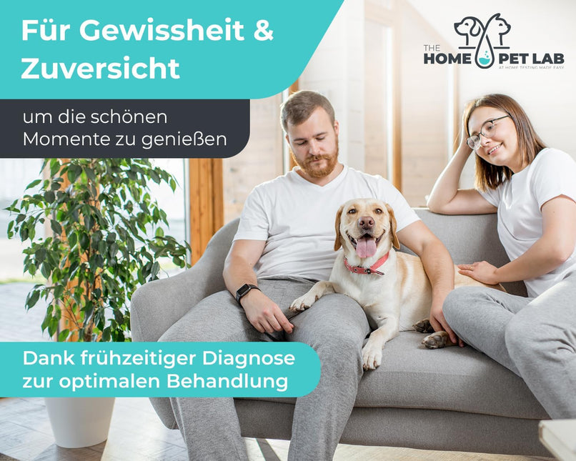 The Home Pet Lab 2 x Giardia Quick Test Dog & Cat - Giardia Test Reliable as Test for Intestinal Parasites and Diarrhoea - For Dogs and Cats with Giardia (2 x Test)