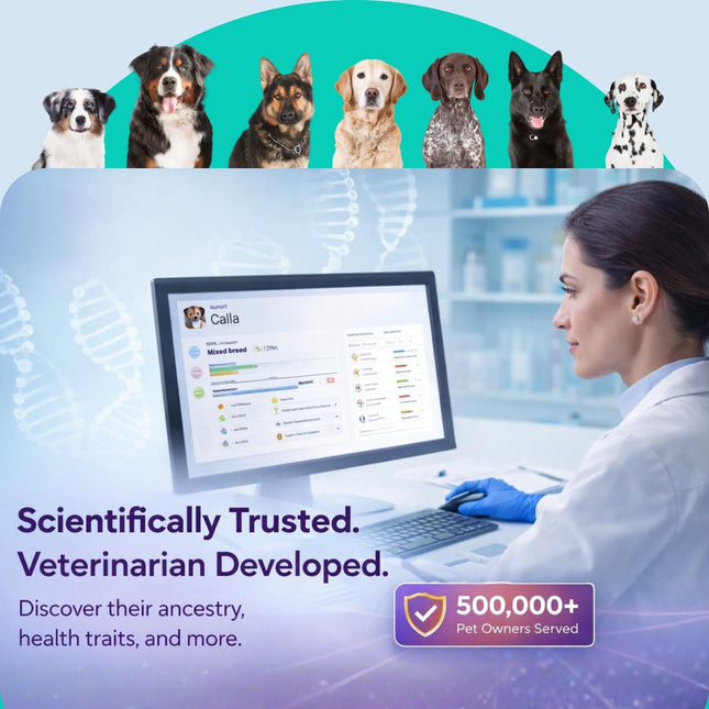 ORIVET GenoPet Plus Dog DNA Test Kit | 365+ Breed Identification & 330+ Genetic Health Conditions Included | Personalized Life Plan | At-Home Cheek Swab | Results in Approximately 3–5 Weeks