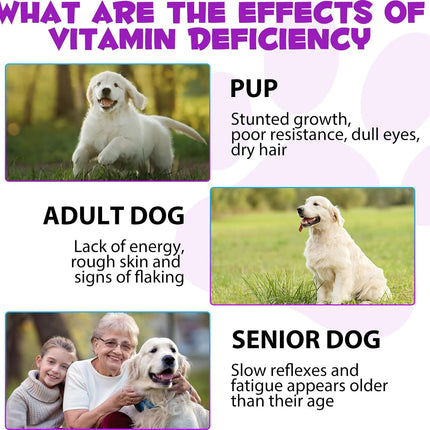 15 in 1 Dog Multivitamin, All-in-One Multi Liquid Multivitamin for Dogs