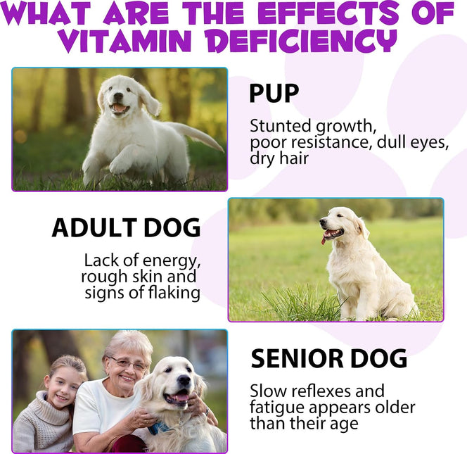 15 in 1 Dog Multivitamin, All-in-One Multi Liquid Multivitamin for Dogs