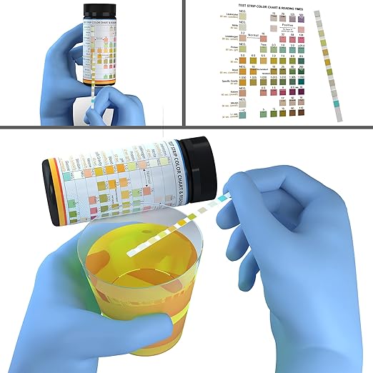 life2O 10-Parameter Cat & Dog Urine Test Strips 60ct, Cat & Dog UTI Test Kit, Diabetes Testing for Diabetic Pets, Urinalysis Reagent Strips: Glucose, Specific Gravity, pH, Ketone, Protein & More.