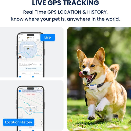 DBDD AI GPS Tracker for Dogs, Real Time Location and AI Health Care Management, Electronic Fence, Waterproof, iOS and Android Compatible (White)