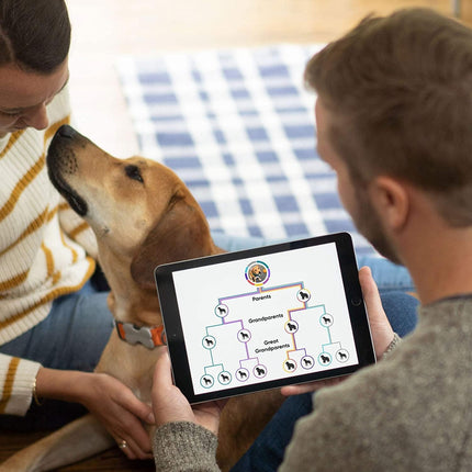 Embark Dog DNA Test Kit | Breed & Genetic Ancestry Discovery | at-Home Cheek Swab -Mixed Breed and Purebred Dog DNA Test