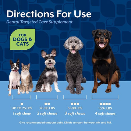NaturVet Dental Targeted Care Supplement for Dogs & Cats - 60 Ct