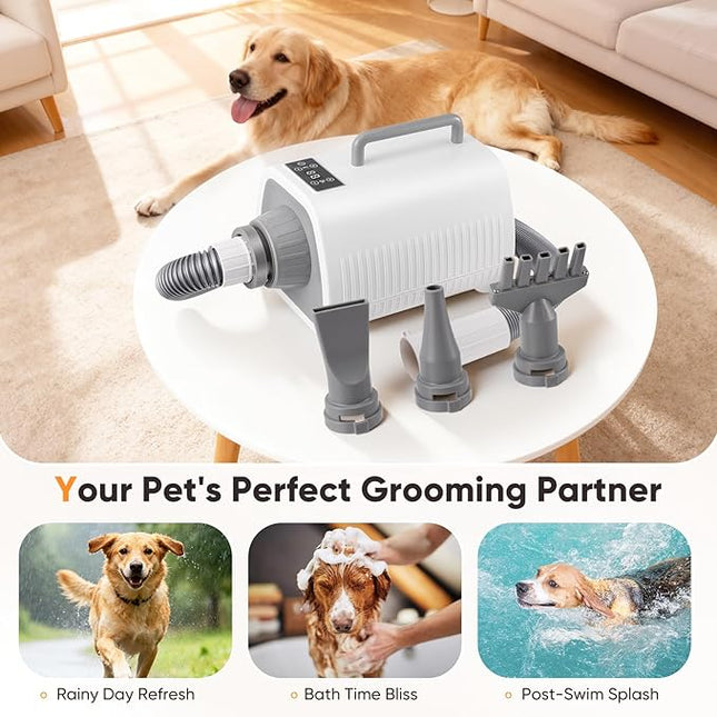 Dog Hair Dryer, Hair Dryer with Adjustable Temperature and Speed, Pet Grooming Set