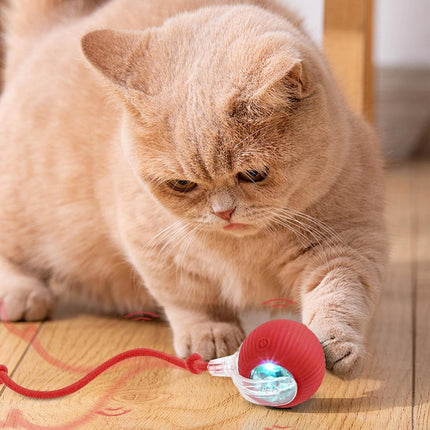 Smart Chase Teaser Ball