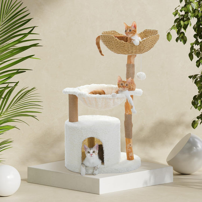 PAWZ Road Modern Cat Tree, Real Wood Cat Tower for Indoor Large Cats, Luxury Furniture with Large Cozy Hammock(Dia=40cm)