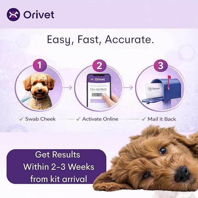ORIVET GenoPet Plus Dog DNA Test Kit | 365+ Breed Identification & 330+ Genetic Health Conditions Included | Personalized Life Plan | At-Home Cheek Swab | Results in Approximately 3–5 Weeks
