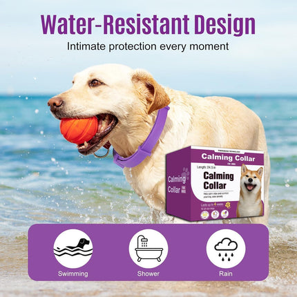 Calming Collar for Dogs 4 Packs, Dog Pheromone Calm Collars Relief Anxiety Stress Separation Lasts 60 Days