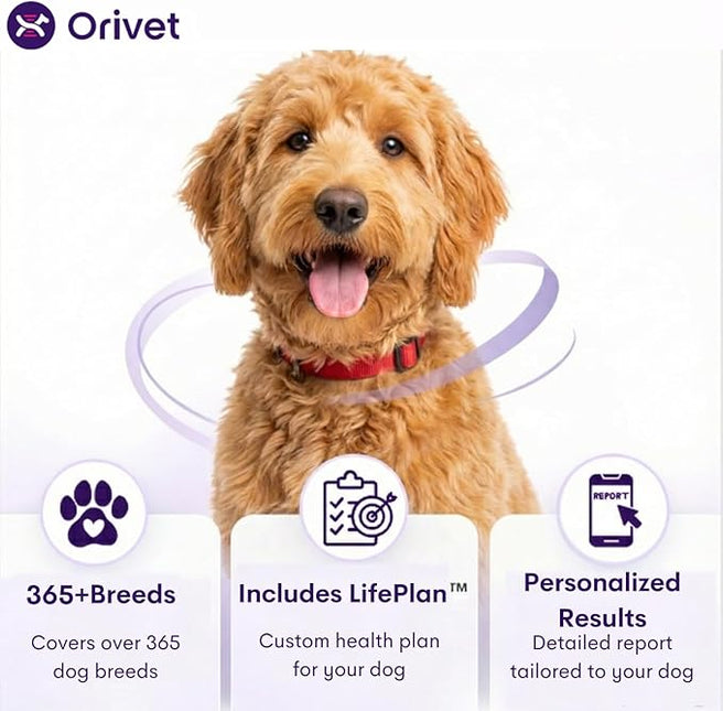 ORIVET GenoPet Plus Dog DNA Test Kit | 365+ Breed Identification & 330+ Genetic Health Conditions Included | Personalized Life Plan | At-Home Cheek Swab | Results in Approximately 3–5 Weeks
