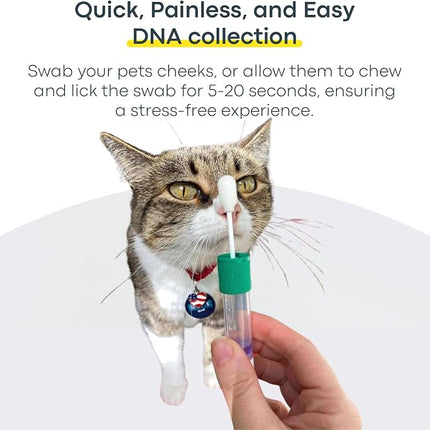 Basepaws Cat DNA Test Kit, Breed, Health & Dental Insights, 114 DNA Traits