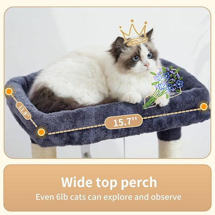 Heybly Cat Tree, Kitten Tower with Large Soft Cat Basket HCT008SG | Cat Condo with Spacious Cat Bed Cave with Hidden Space, Sisal Scratching Posts, Dangling Ball for Indoor Cats, Smoky Gray