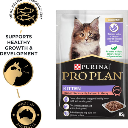 PRO PLAN Kitten Wet Cat Food Salmon in Gravy 12x85g