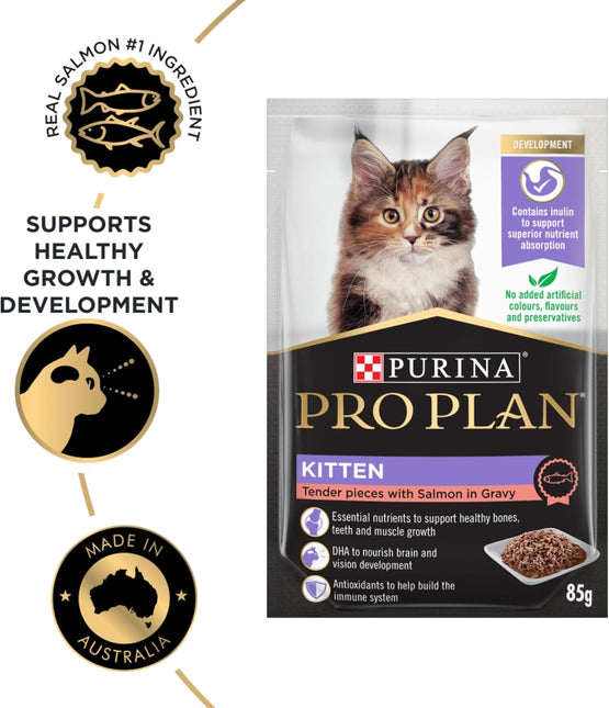 PRO PLAN Kitten Wet Cat Food Salmon in Gravy 12x85g