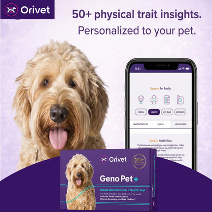 ORIVET GenoPet Plus Dog DNA Test Kit | 365+ Breed Identification & 330+ Genetic Health Conditions Included | Personalized Life Plan | At-Home Cheek Swab | Results in Approximately 3–5 Weeks