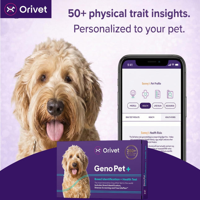 ORIVET GenoPet Plus Dog DNA Test Kit | 365+ Breed Identification & 330+ Genetic Health Conditions Included | Personalized Life Plan | At-Home Cheek Swab | Results in Approximately 3–5 Weeks