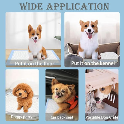 100Pcs 60x60cm Disposable Pet Training Pads, 6 Layers Large Puppy Pee Training Pads Pet Training Pee Pads Super Absorbent & Leak-Proof Piddle and Potty Pads Pee Mats for Dogs, Cats, Pet (Blue)