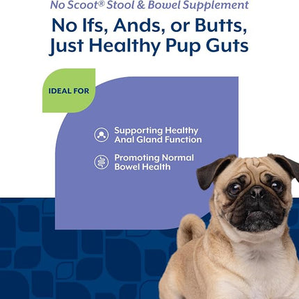 NaturVet No Scoot Stool and Bowel Supplement for Dogs - 120 Soft Chews