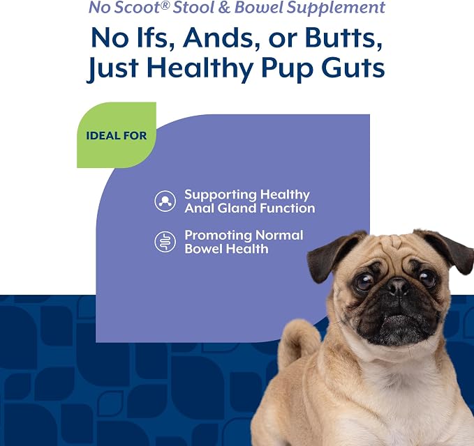 NaturVet No Scoot Stool and Bowel Supplement for Dogs - 120 Soft Chews