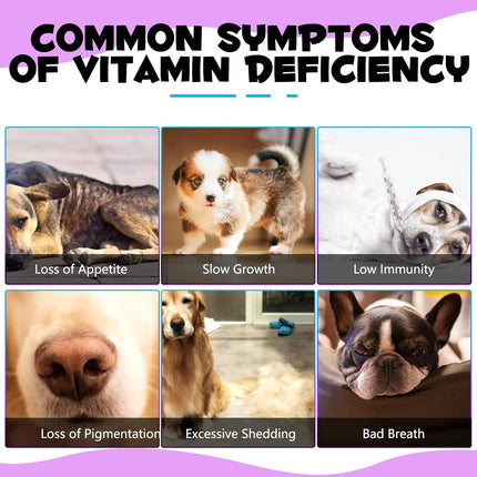 15 in 1 Dog Multivitamin, All-in-One Multi Liquid Multivitamin for Dogs