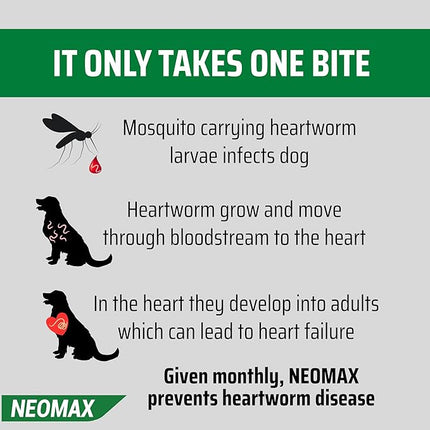 NEOMAX ALLWORMER Tablet for Small Dogs and Puppies 0-5KG Body Weight 2 Tablet Pack
