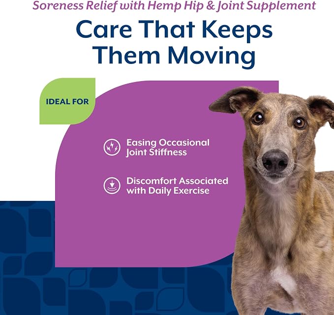 NaturVet Aches & Discomfort Plus Hemp Supplement for Dogs - 60 Soft Chews