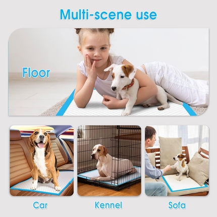 Fandcy Large Dog Pee Pads 200-Count, 60x60cm Thicken Disposable Dog Training Pads,(2pack-200count)