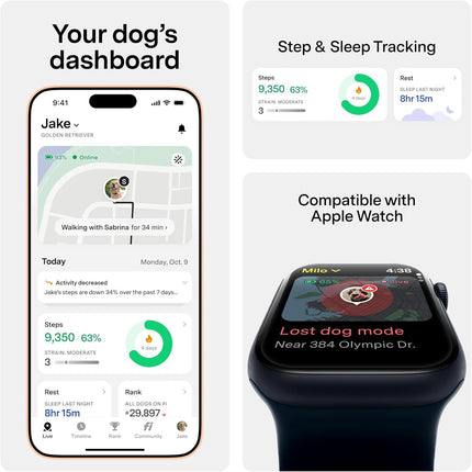 Fi New Series 3+ Smart Dog Tracker Collar [12 Month Membership Included] GPS Tracker for Dogs with Health & Behavior Monitoring, Escape Alerts, Waterproof, LED, Apple Watch Compatible (Blue, Medium)