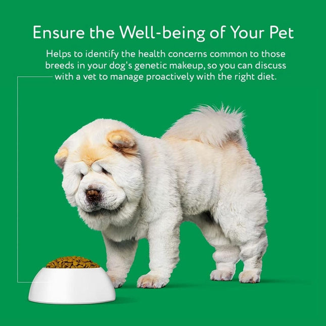 DNA MY DOG - Dog DNA Test Kit | 350+ Breeds Identified | 99%+ Accuracy | Allergy Risk Score | Personality & Behavior Insights | Results in 2-3 Weeks |