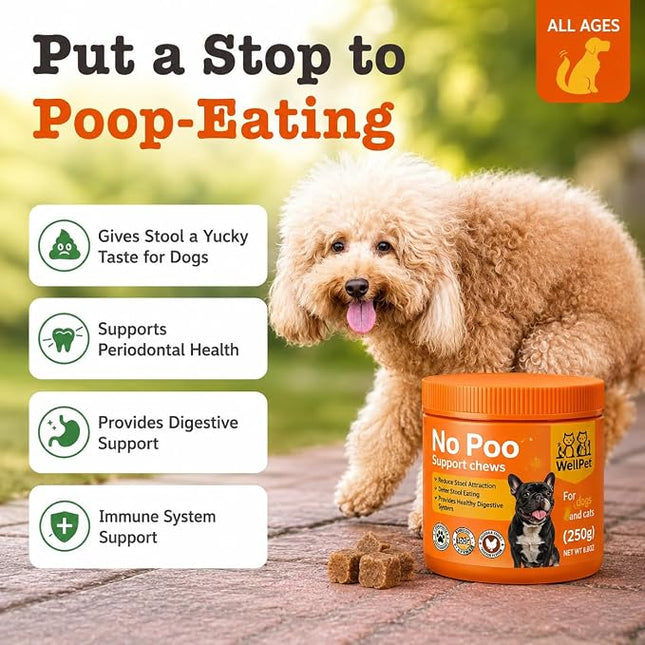 WellPet No Poo Support Chews for Dogs and Cats, Stool Eating Deterrent, with Probiotics and Digestive Enzymes, Chicken Flavour, 250g,100ct