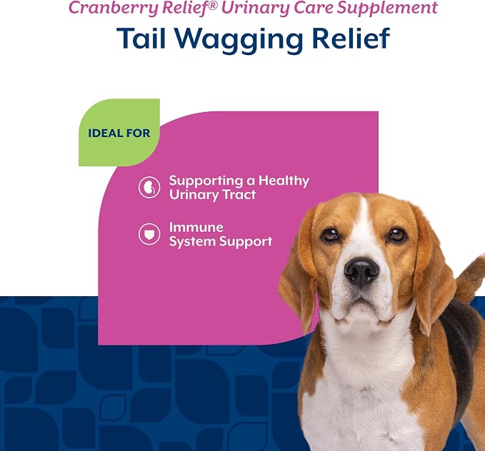 NaturVet Urinary Care Cranberry Relief with Echinacea for Dogs - 120 Count