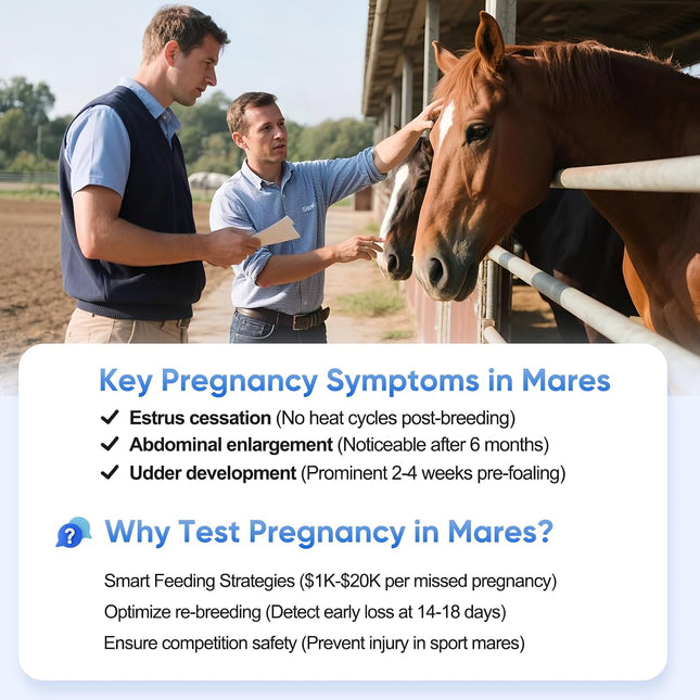 Horse Pregnancy Test - 5 Pack Mares Pregnancy Urine Test Strips