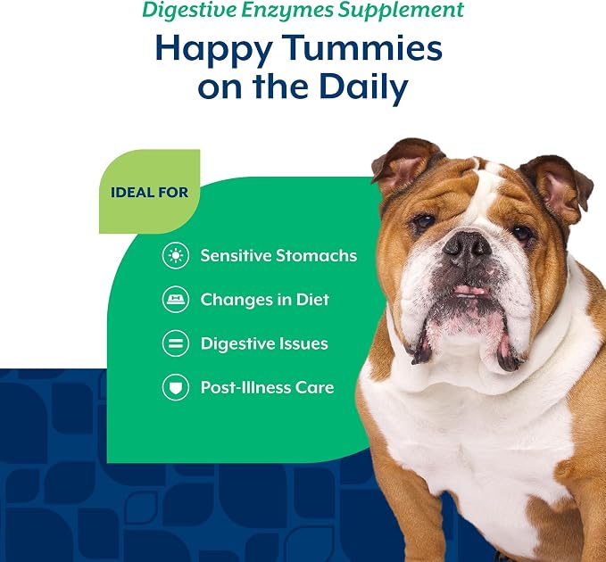 NaturVet Digestive Enzymes with Pre & Probiotic Dog Supplement - 70 Count