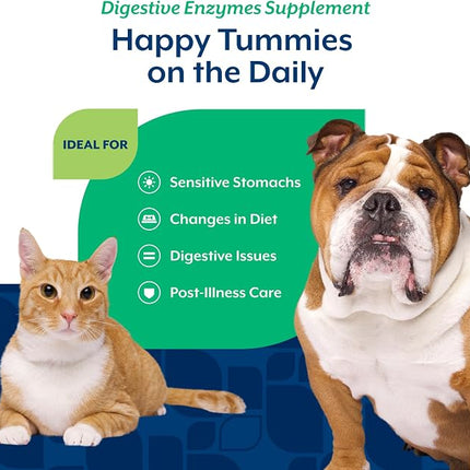NaturVet Digestive Enzymes with Pre & Probiotic for Dogs & Cats - 4 oz