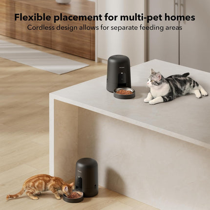 PETLIBRO Cordless Automatic Cat Feeder – Battery Powered, WiFi App Control