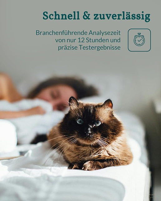vetevo Worm Test Cat Plus, Includes Giardia, Lungworms Cat, Worm Test for Cats, Result in 24 Hours, All Cats