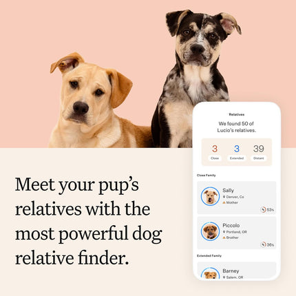 Wisdom Panel Premium Dog DNA Testing Kit - Most Comprehensive Test - 265+ Health Tests, 430+ Dog Breeds, 50+ Traits, Relatives, Ancestry, 1 Pack