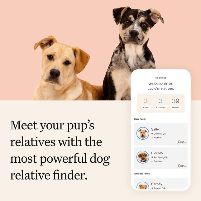 Wisdom Panel Premium Dog DNA Testing Kit - Most Comprehensive Test - 265+ Health Tests, 430+ Dog Breeds, 50+ Traits, Relatives, Ancestry, 1 Pack