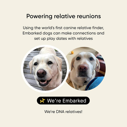 Embark Breed & Health Dog DNA Test - 400+ Breeds, 270+ Health Conditions, Allergy Risk Score, Relatives, and More