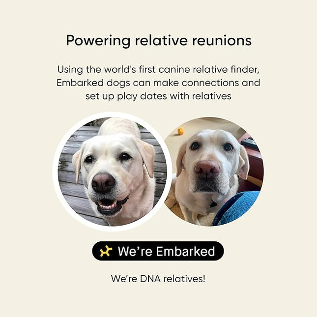 Embark Breed & Health Dog DNA Test - 400+ Breeds, 270+ Health Conditions, Allergy Risk Score, Relatives, and More (Pack of 2)