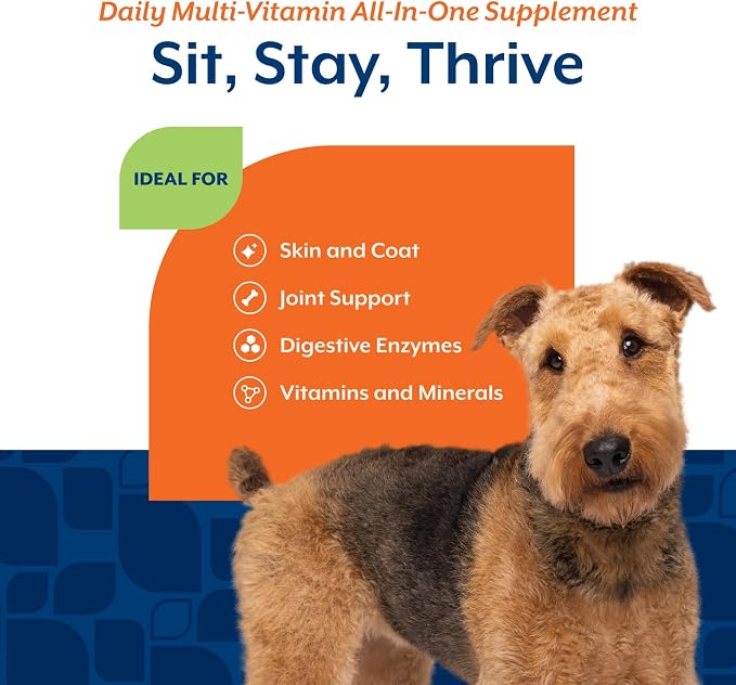 NaturVet All-in-One Dog Supplement Daily Multivitamin - 240 Soft Chews