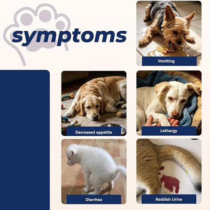 Cat & Dog Urine Test Strips 10-Parameter 100ct, Diabetes Testing, Blood Ketone Testing UTI Test Kit, Glucose, Nitrite, Specific Gravity, pH, Protein, Leukocycles & More.1 Pack