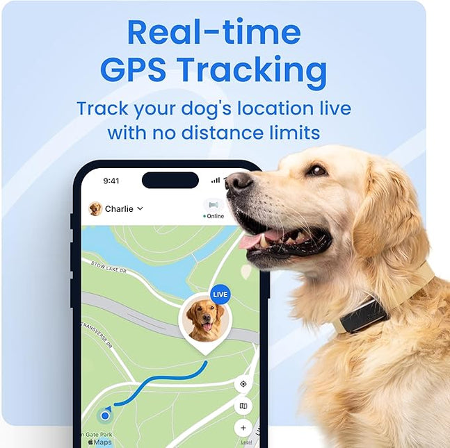 Tractive GPS Dog Tracker (2025 Release with Free 6 Month Subscription) |